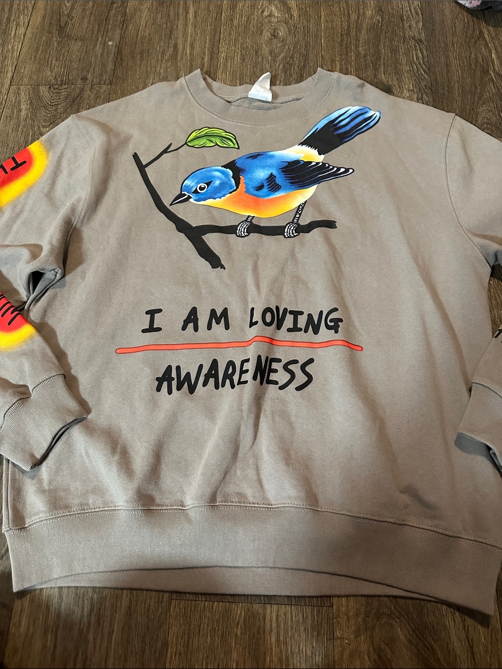 I Am Loving Awareness Sweatshirt Crew Neck Pullover